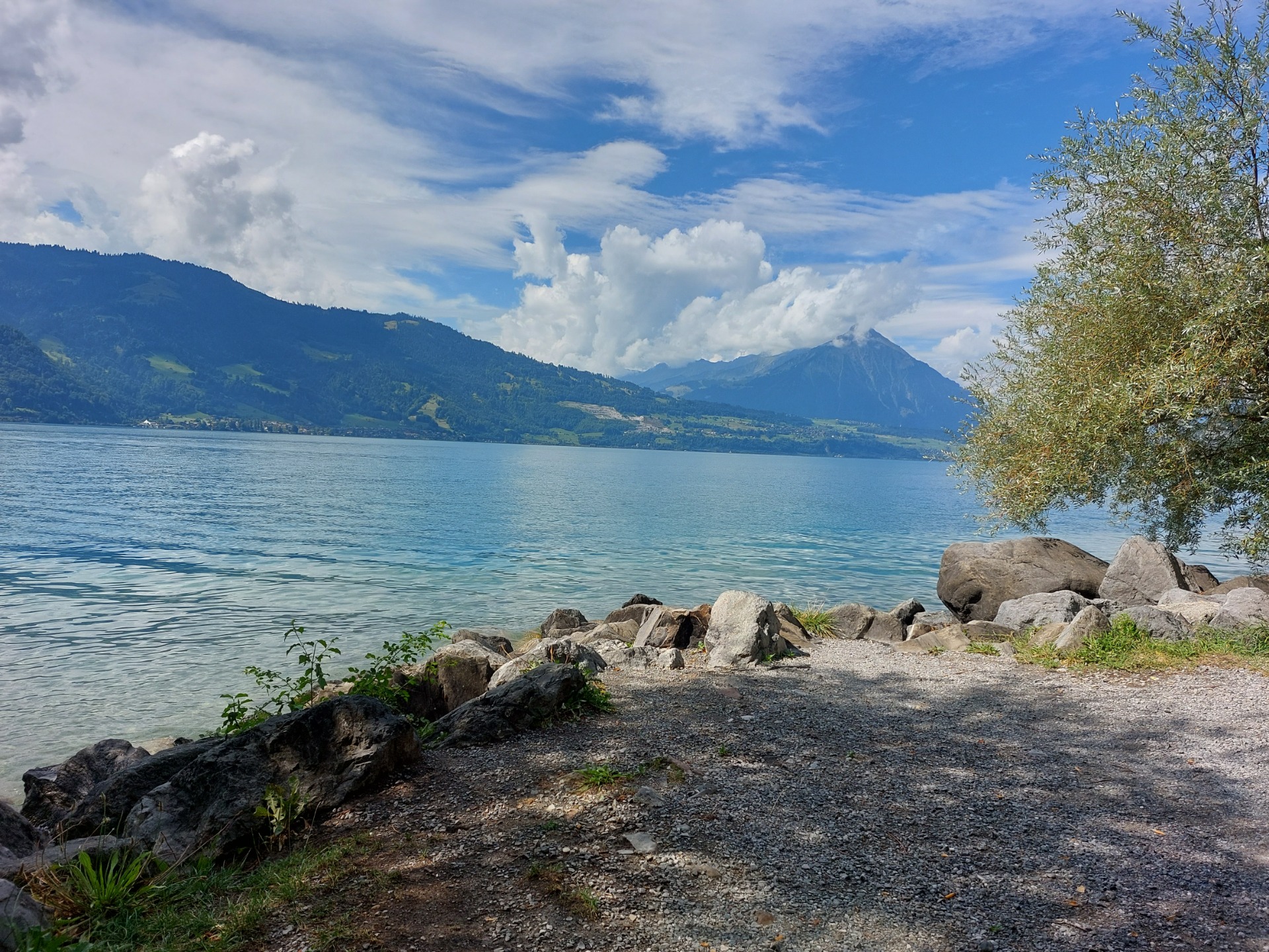 Langs de waterkant van de Thunersee